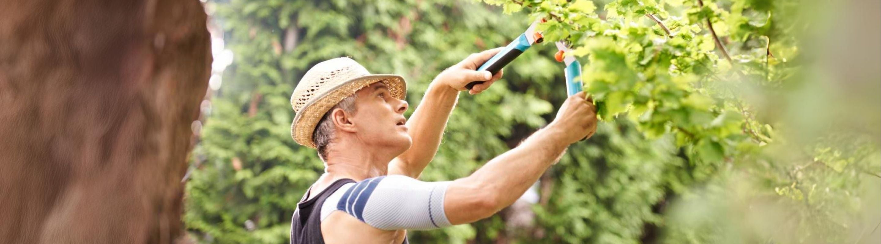 Can a brace can help a rotator cuff tear?