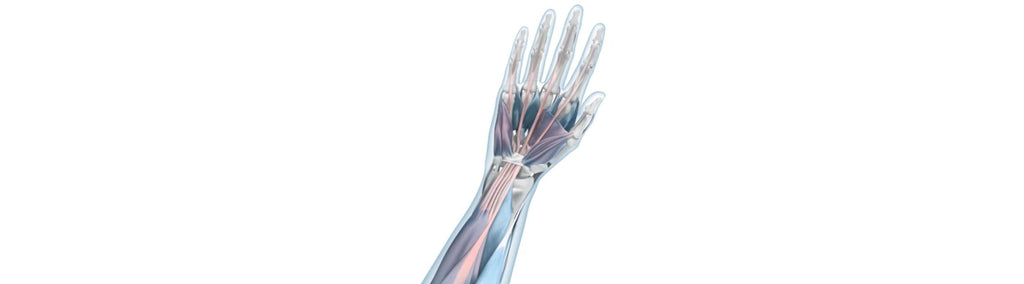 Mouse Arm Syndrome - Strained Hand & Arm Actions– Bauerfeind Australia