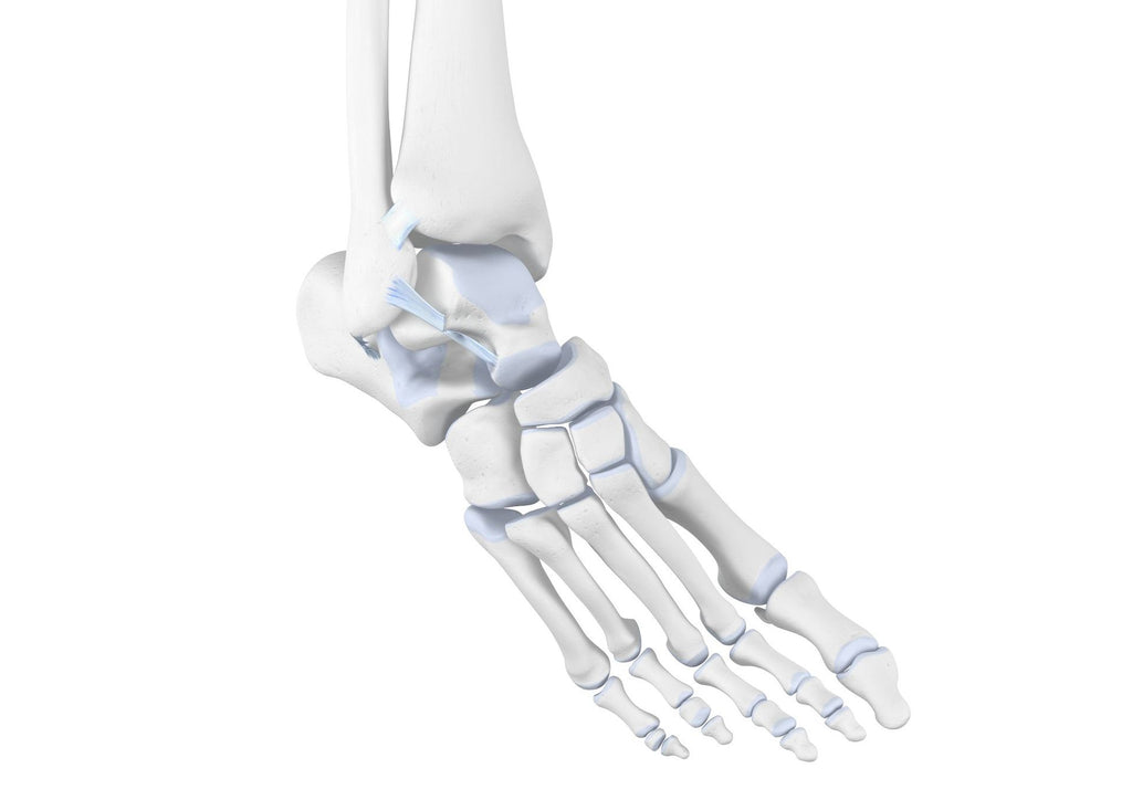 Supination Trauma - Diagnosis, Treatment & Prevention– Bauerfeind Aust