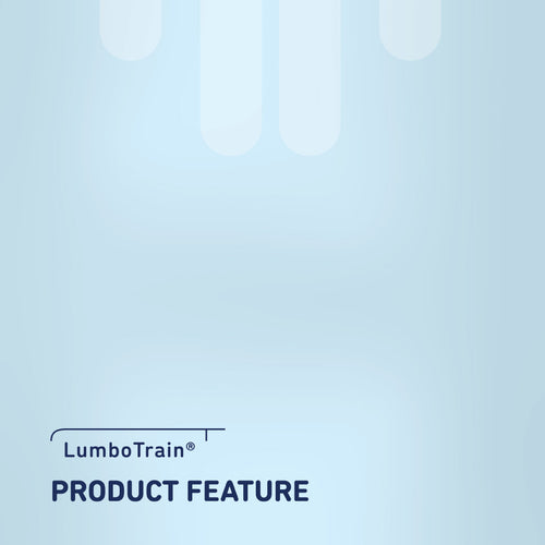 LumboTrain Back Support
